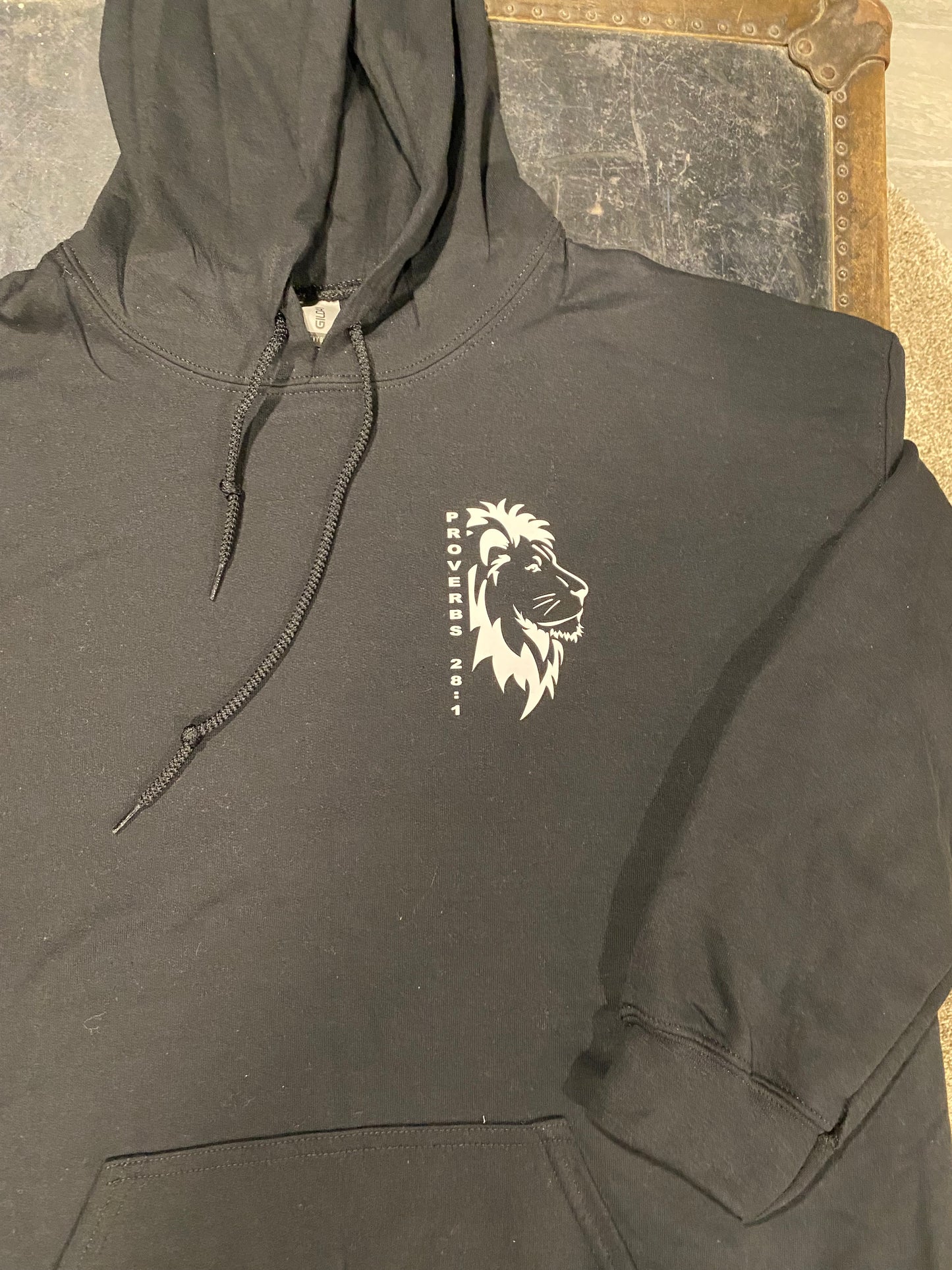 Proverbs 28:1 Hoodie